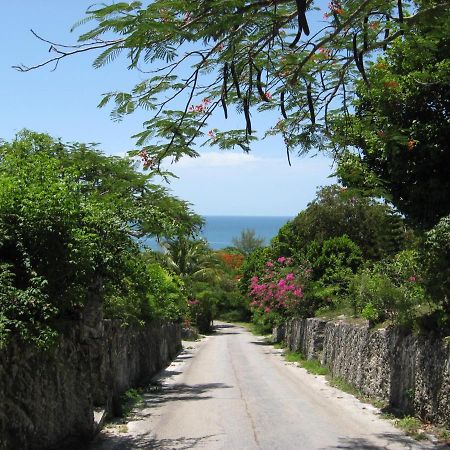 Savannah Sound Beside The Pointe Cottage מראה חיצוני תמונה