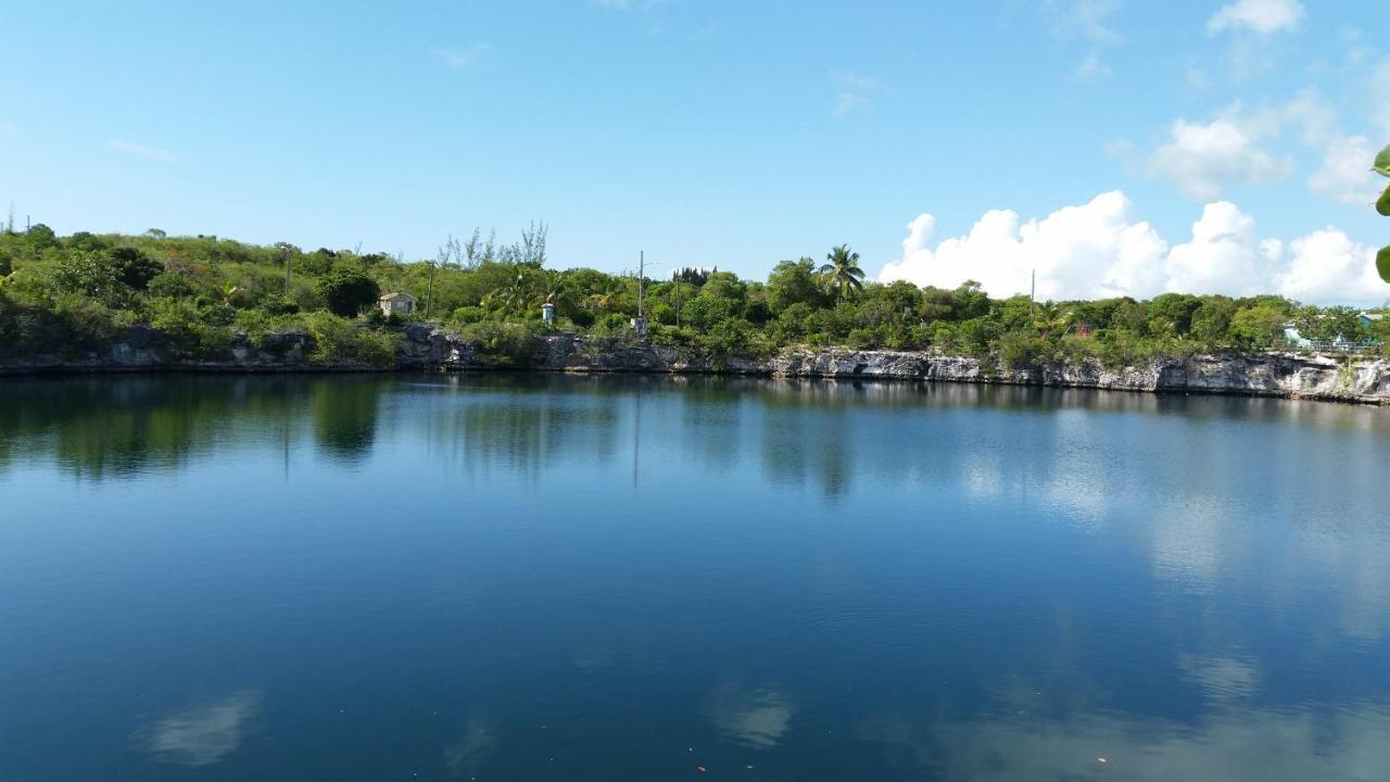 Savannah Sound Beside The Pointe Cottage מראה חיצוני תמונה